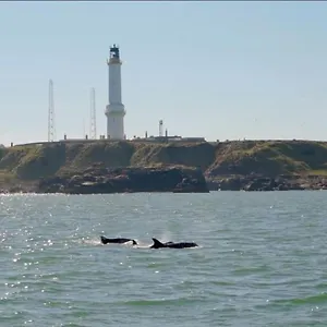  Holiday home Lighthouse With Hottub